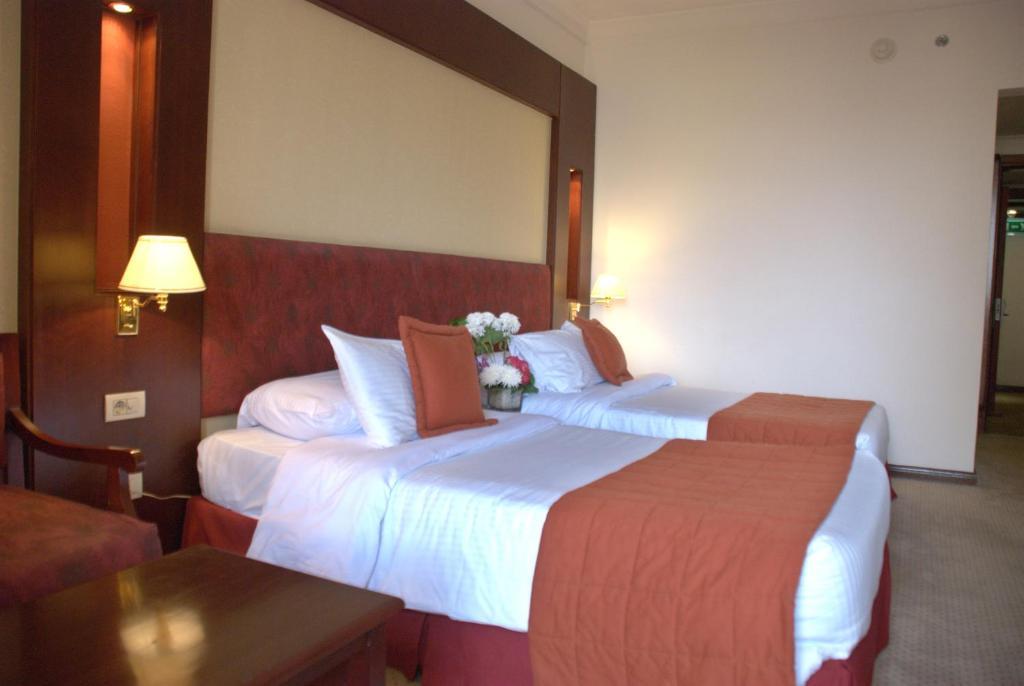 Safir Hotel Cairo Giza Exterior foto A bedroom at the hotel